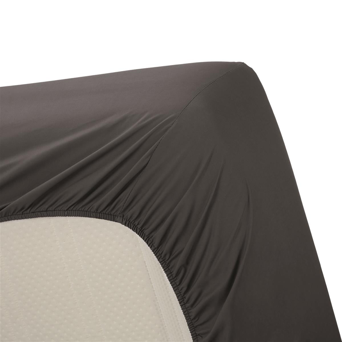 Beddinghouse fitted sheet - Percale Cotton - Anthracite