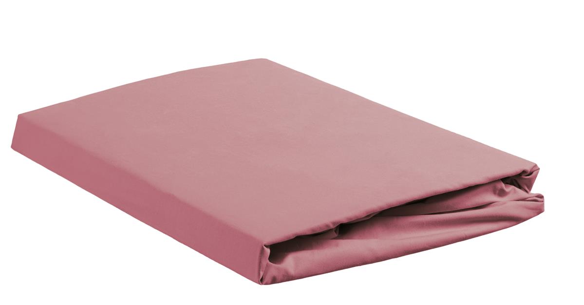 Ambiante spannbettlaken - Baumwolle - Rosa